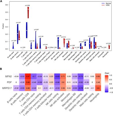 Identification of mitochondria-related key gene and association with immune cells infiltration in intervertebral disc degeneration